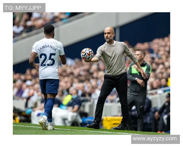 曼城与托特纳姆激情对决谁能在英超赛场上笑到最后