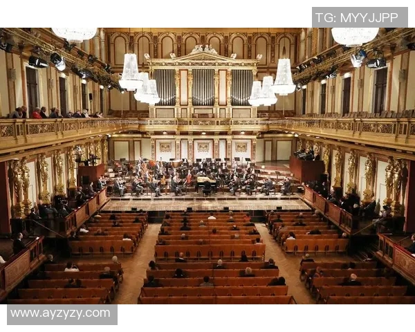 维也纳对阵利马索尔精彩直播全程回顾与赛后分析