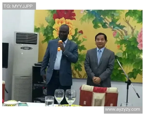 象牙海岸与中国的经济合作与文化交流新篇章探讨